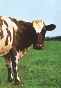 ATOM HEART MOTHER